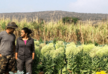 ఇది ఒక ఆర్గానిక్ లవ్ స్టోరీ…