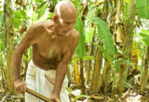 93 ఏళ్ల ఈ ఆర్గానిక్ రైతు ఆరోగ్య రహస్యం ఇదే!