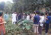 అద్దెకి ఆర్గానిక్ పొలం