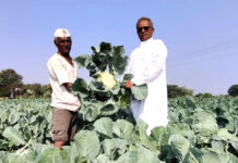 అక్కడ నిజంగా ఒక అద్భుతం జరిగింది!