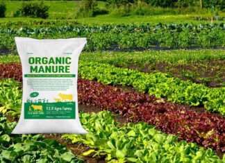 PLEASE CALL US AT 7396394749