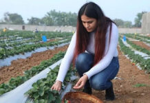 ఈ యువతి సాధించిన ఘనత చూశారా!
