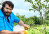 ఆర్గానిక్ సాగులో సూపర్ స్టార్