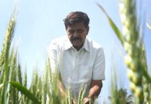 విటమిన్ ‘డి’ పండించే చింతల వెంకట్ రెడ్డి