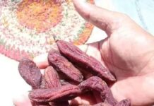 డ్రై ఫ్రూట్ బనానా!