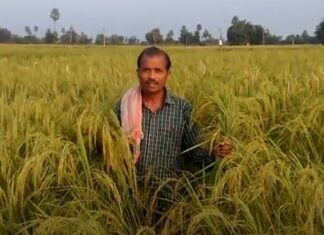 ప్రకృతి పంటల వైపు ప్రపంచం పరుగు