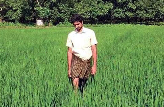 సహజపంటలపై ఇష్టంతో..