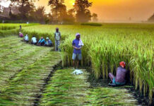 ప్రకృతి సాగులో ప్రభుత్వాల పాత్ర