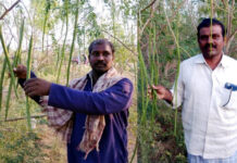 మునగపంటలో విజేతలు వీళ్లు!