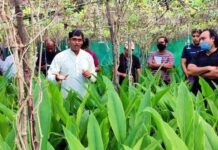 మల్టీ లేయర్ రైతుకు అవార్డుల పంట