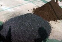 బయోచార్ బంగారం!