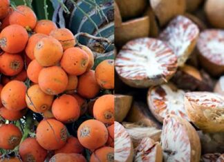 వక్కసాగు లెక్కేంటో చూద్దాం