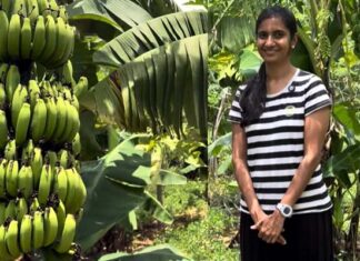 వారెవ్వా.. వారాంతపు వ్యవసాయం!