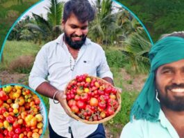 దేశీ విత్తనాల రక్షకుడు ప్రదీప్