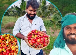 దేశీ విత్తనాల రక్షకుడు ప్రదీప్