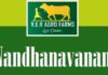 ఫ్యూచర్ సిటీ పరిధిలో ‘నందనవనం’