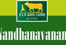 ఫ్యూచర్ సిటీ పరిధిలో ‘నందనవనం’