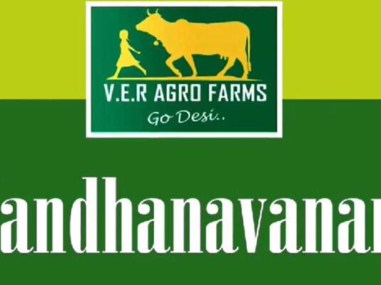 ఫ్యూచర్ సిటీ పరిధిలో ‘నందనవనం’