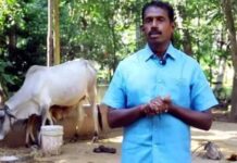 నష్టాల నుంచి లాభాల్లోకి వల్లువన్ సాగు