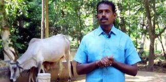 నష్టాల నుంచి లాభాల్లోకి వల్లువన్ సాగు