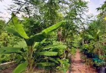 కలుపే బంగారం, అణువణువూ ఆదాయం