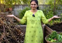 బలాన్నిచ్చే ‘శాండ్విచ్’ మట్టి!