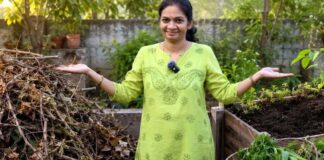 బలాన్నిచ్చే ‘శాండ్విచ్’ మట్టి!