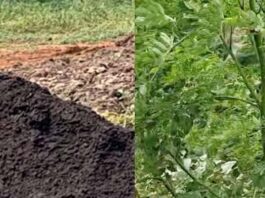పుడమితల్లికి పోషకాల ప్యాకేజ్