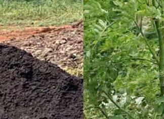 పుడమితల్లికి పోషకాల ప్యాకేజ్